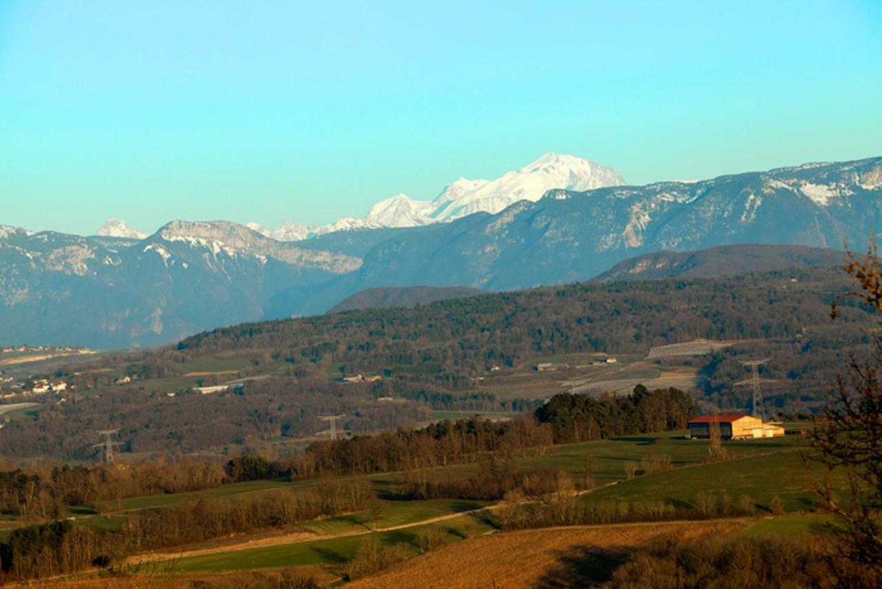 Le Manoir Bed and Breakfast Chaumont  Esterno foto